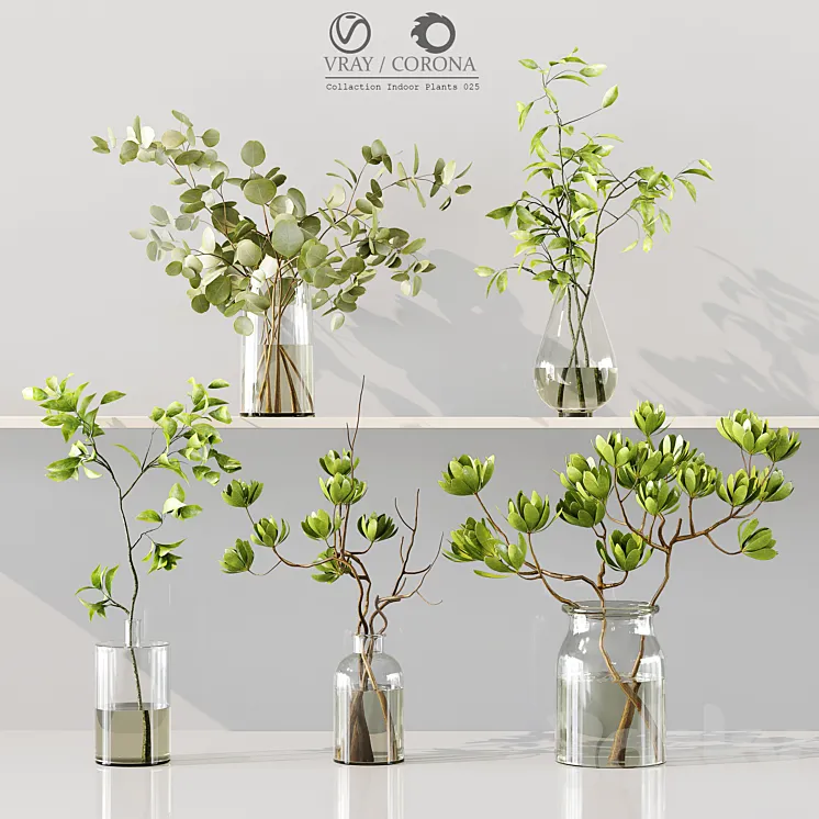 Collection Indoor Plants 025 3D Model Free