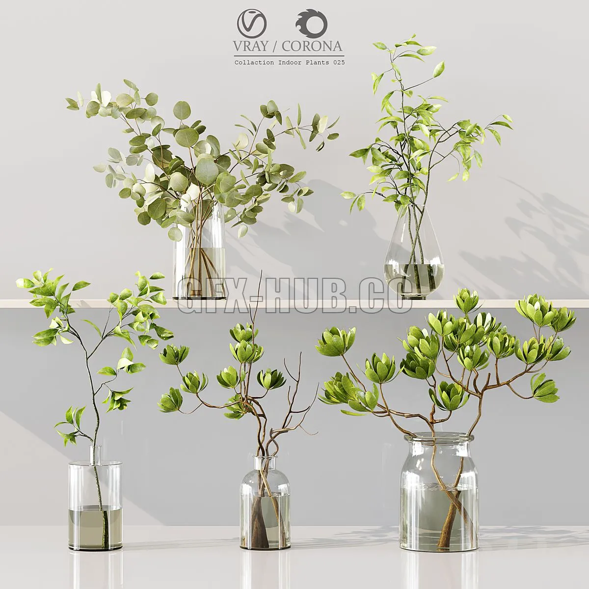 Collection Indoor Plants 025 3D Model