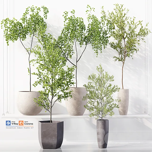 Collection Indoor Plants 027 3D Model