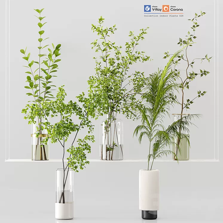 Collection Indoor Plants 028 3D Model Free