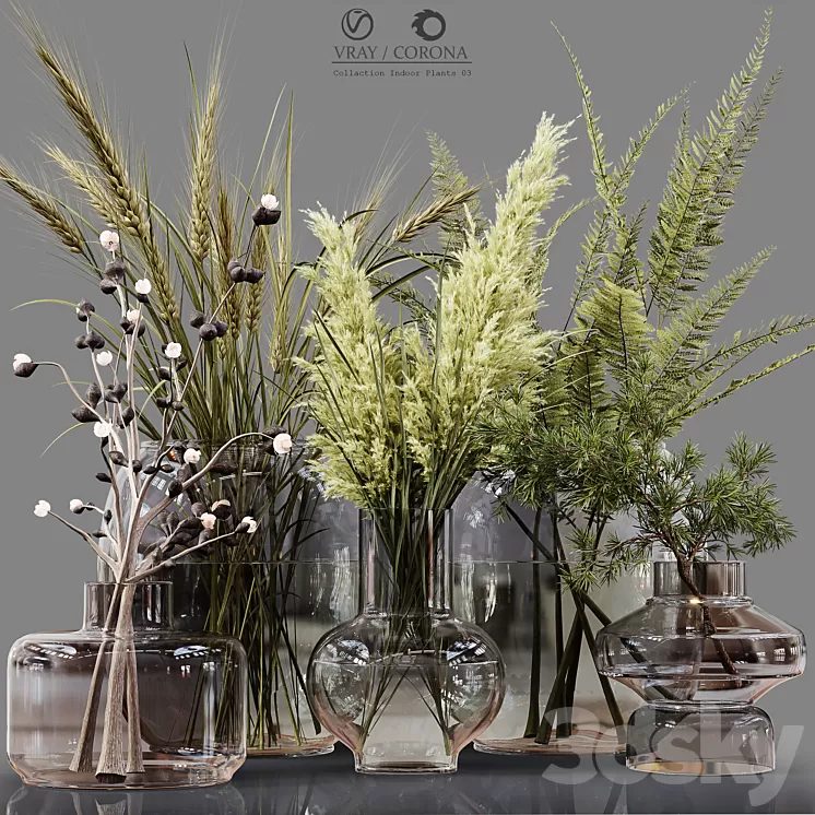 Collection Indoor Plants 03 3D Model Free