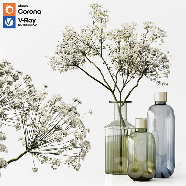 Collection Indoor Plants 03 3DModel