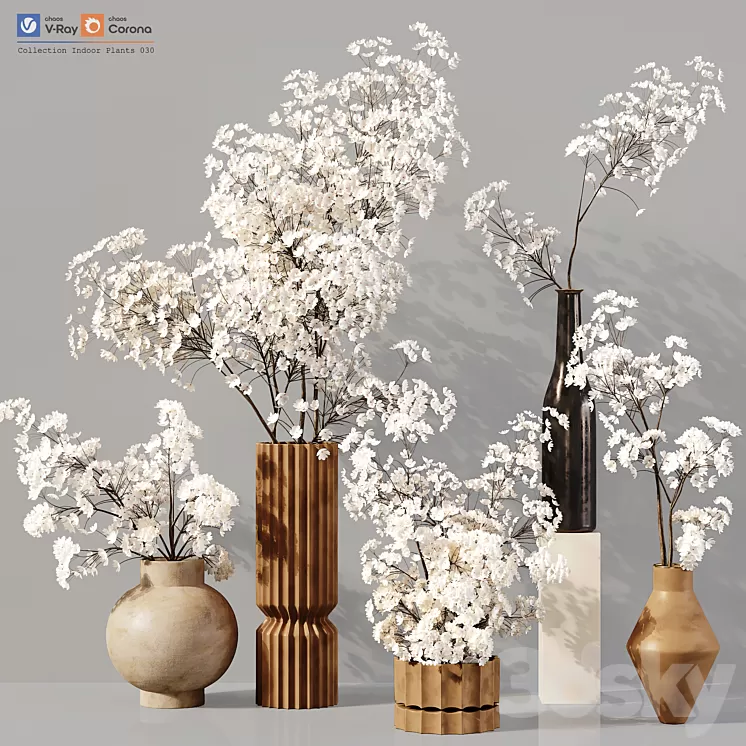 Collection Indoor Plants 030 3D Model Free