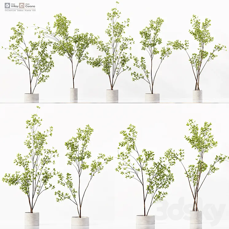 Collection Indoor Plants 033 3D Model Free