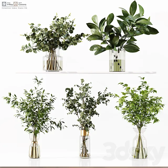 Collection Indoor Plants 034 3D Model