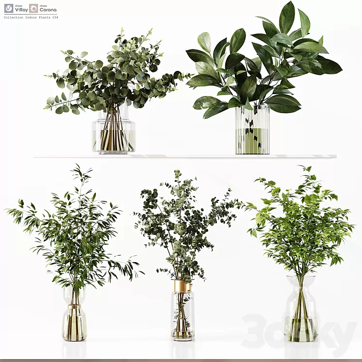Collection Indoor Plants 034 3D Model Free