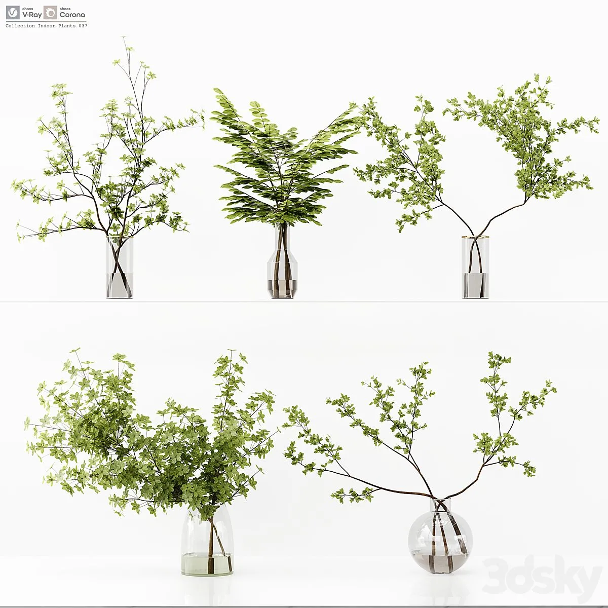 Collection Indoor Plants 037 3D Model