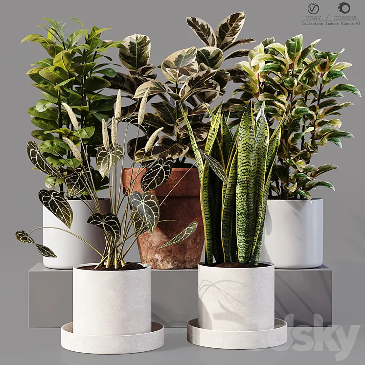Collection Indoor Plants 04 3D Model Free