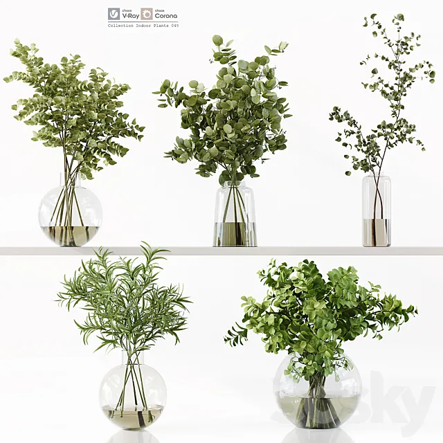 Collection Indoor Plants 049 Free Download