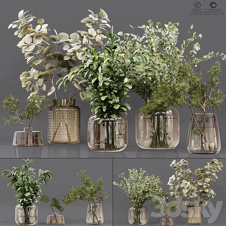 Collection Indoor Plants 05 3D Model Free