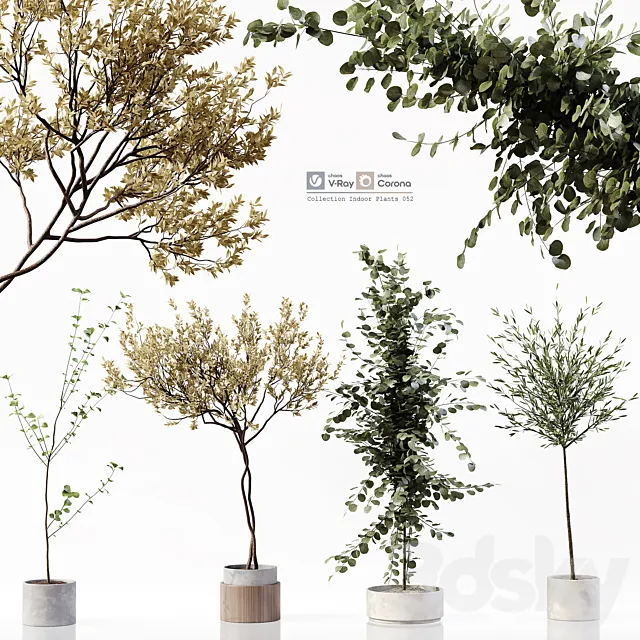 Collection Indoor Plants 052 3D Model