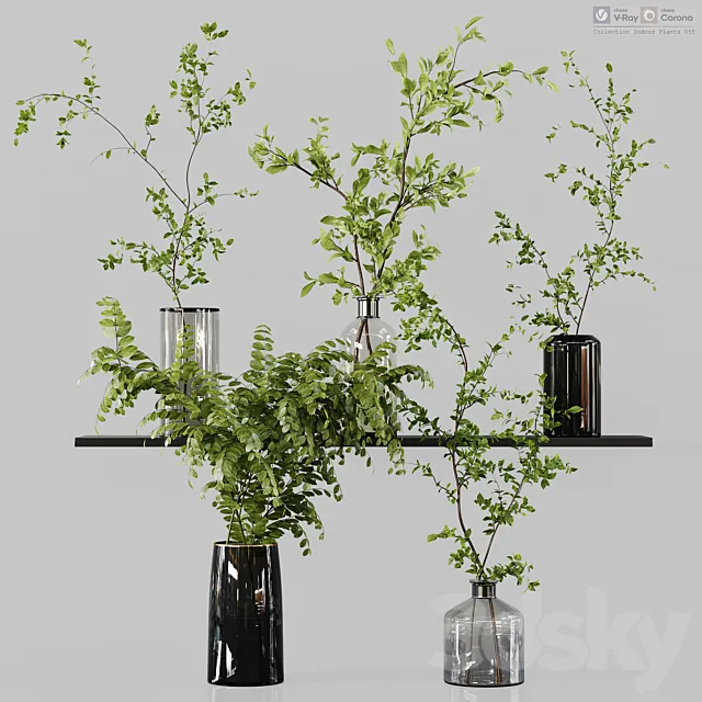 Collection Indoor Plants 055 3D Model