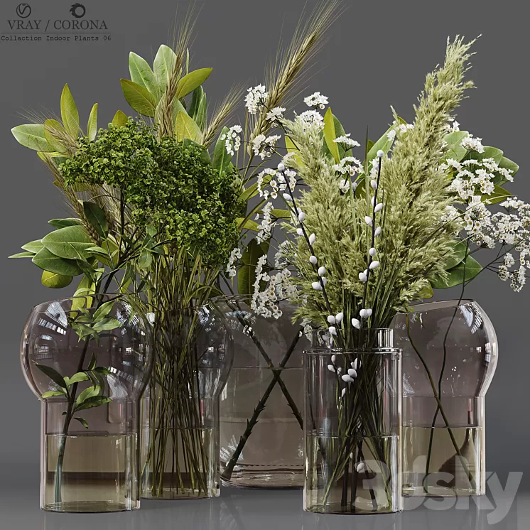 Collection Indoor Plants 06 3D Model Free