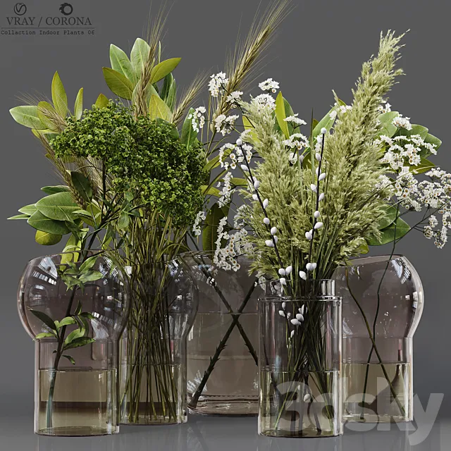 Collection Indoor Plants 06 3DModel
