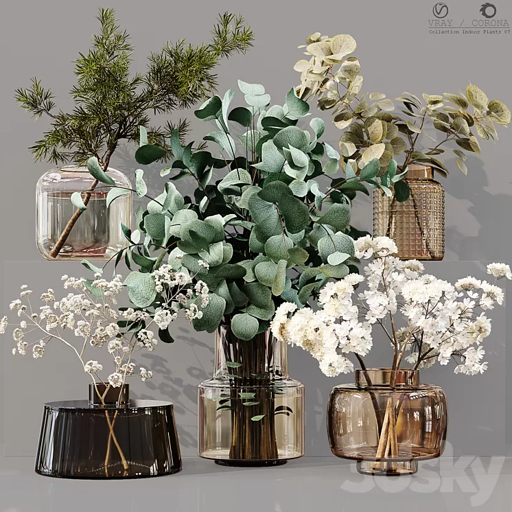 Collection Indoor Plants 07 3D Model Free