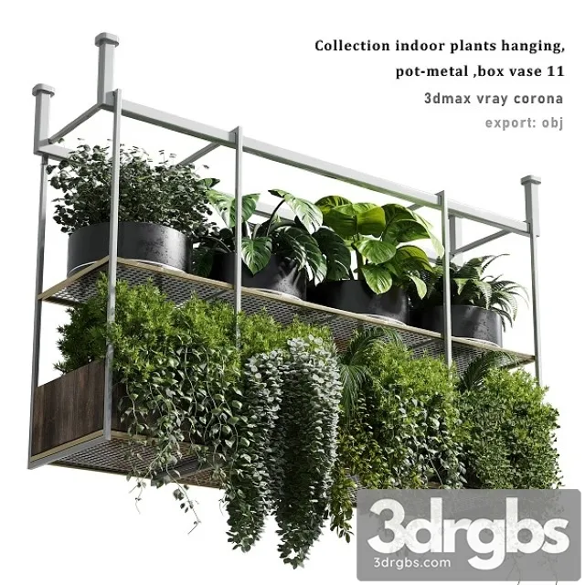 Collection Indoor Plants Hanging Pot 3D Model Free