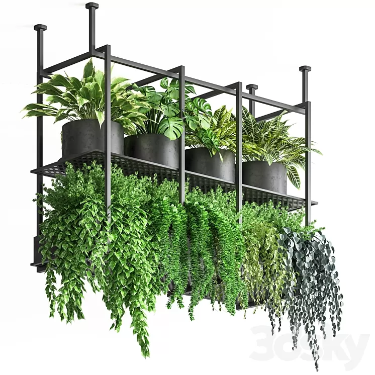 collection Indoor plants hanging pot metal 01 3D Model