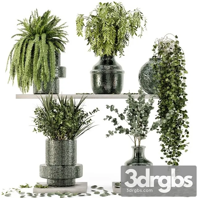 Collection Indoor Plants in Glass Pots 3D Model Free