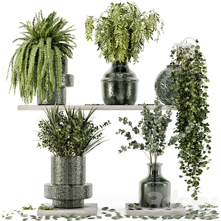 Collection Indoor Plants in Glass Pots - Set 695 3D Model Free