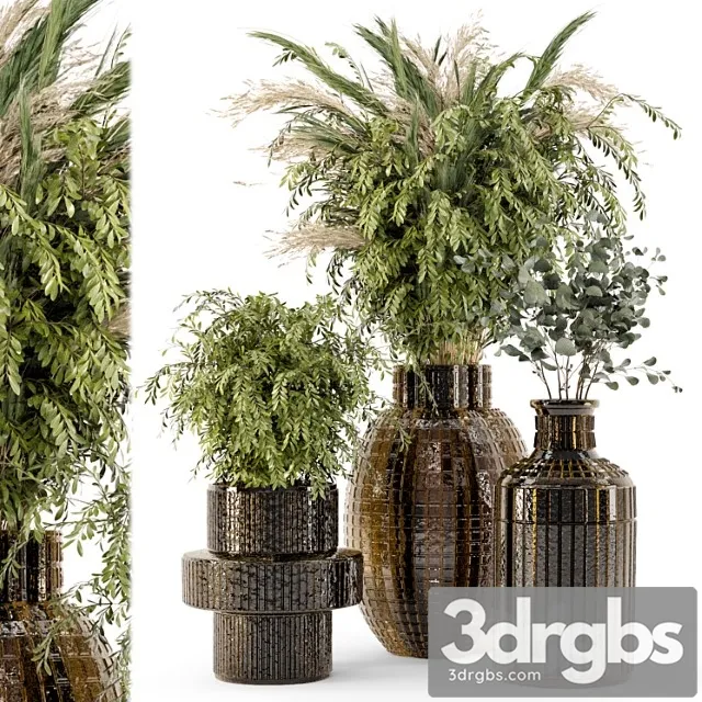 Collection indoor plants in glass pots - set 701