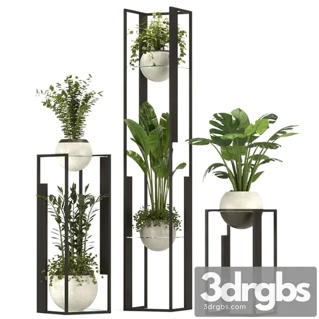 Collection Indoor Plants Nim12 3D Model Free