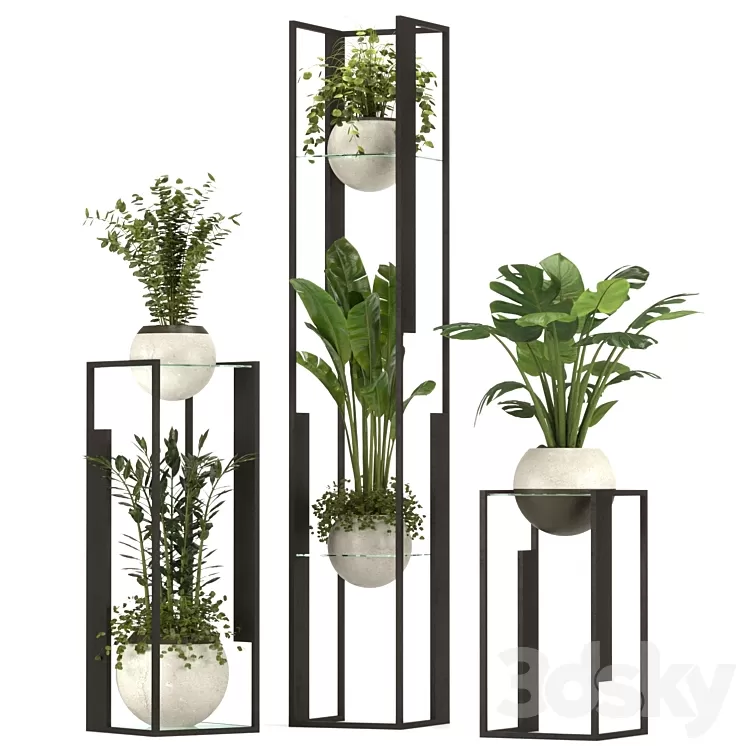 Collection Indoor Plants Nim12 3D Model Free