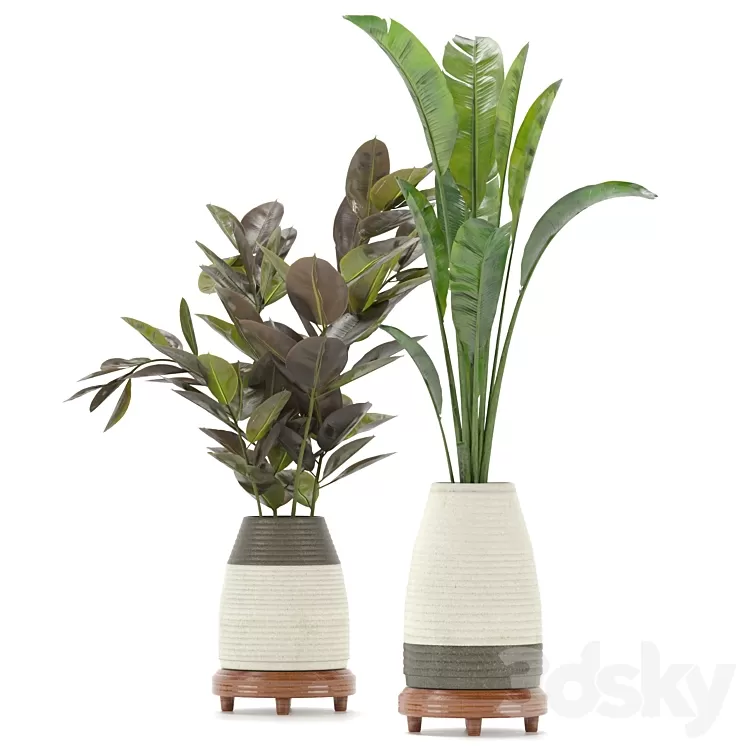 Collection Indoor Plants Set Nim01 3D Model Free