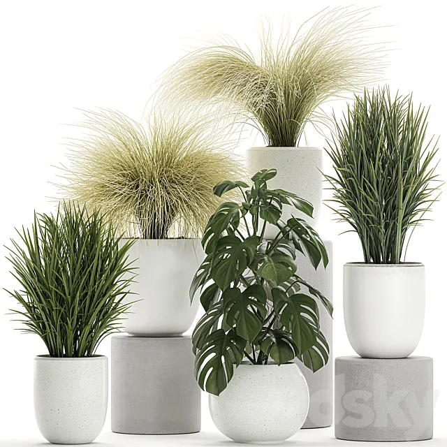 Collection of beautiful small plants in white pots with monstera bushes hummock grass grass. Set 682. 3D Model