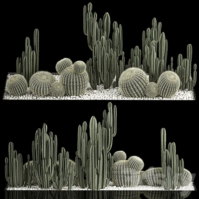 Collection of desert plants with cactus garden Cereus barrel cactus. 1115. 3D Model