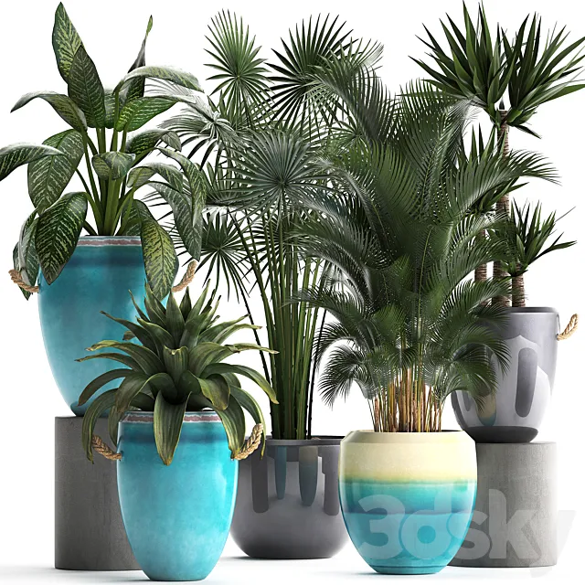 Collection of exotic plants in modern multicolored pots and vases with Fan palm bromelia Howea Yucca Dieffenbachia. Set 394 3D Model