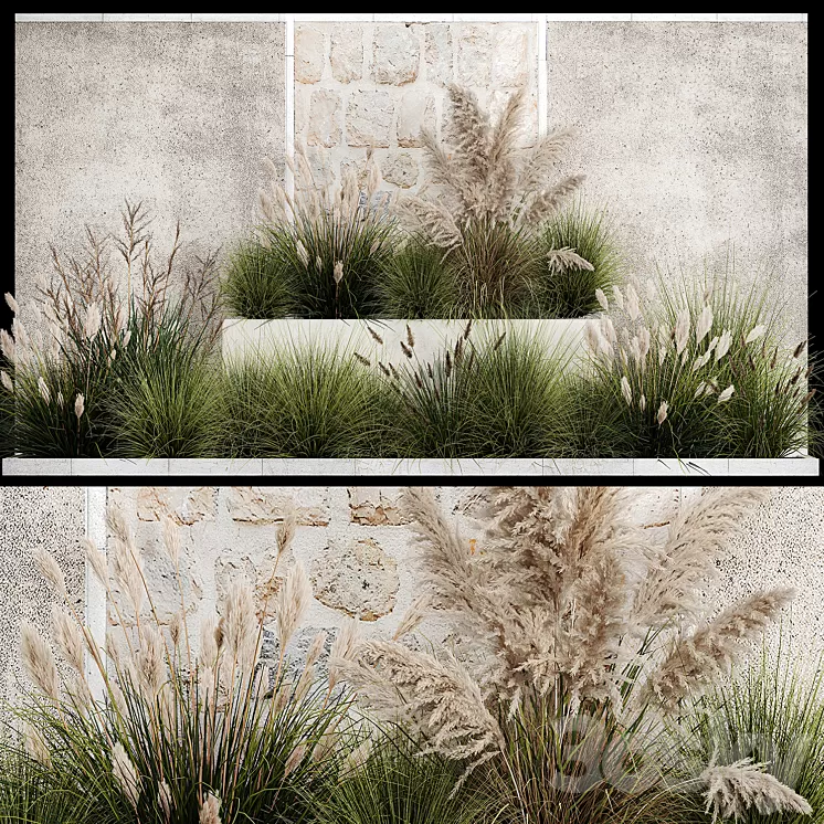 Collection of flowerbed plants and bushes with grass for landscaping pampas grass cortaderia and white reeds. 1126. 3D Model Free