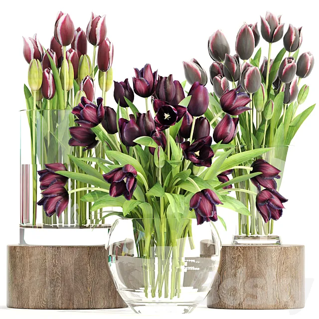 Collection of flowers 1. Tulips flower vase spring flowers decor 3D Model