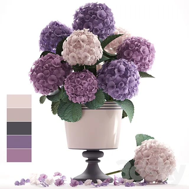 Collection of flowers 55. Hydrangea blue flowers flower vase branch 3D Model
