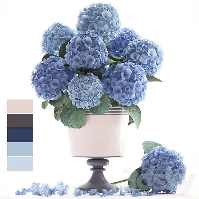 Collection of flowers 56. Hydrangea blue flowers flower vase branch 3D Model