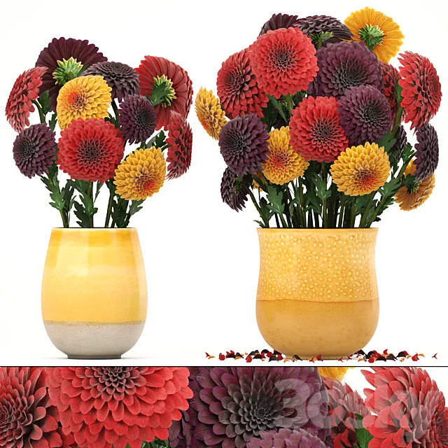 Collection of flowers 8. Dahlias vase decor spring flowers 3D Model