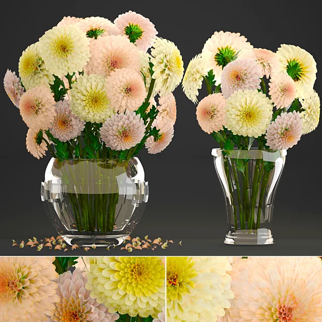 Collection of flowers 9. Dahlias spring flowers vase decor white 3D Model