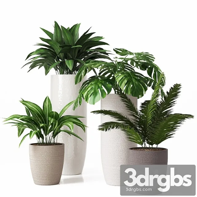Collection of Indoor Plants 01 2 3D Model Free
