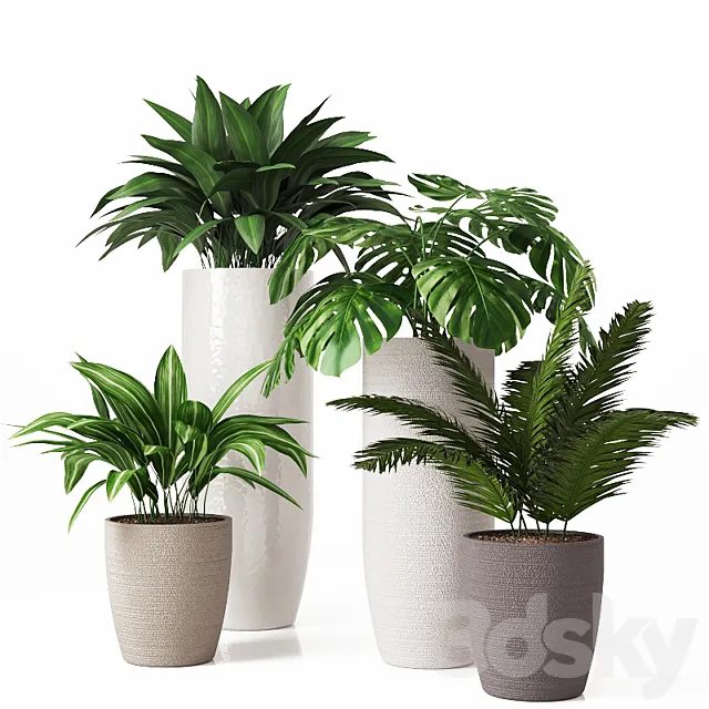 Collection of indoor plants 01 3DModel
