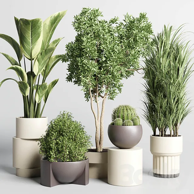 Collection of indoor plants with modern minimal pots 170 3D Model