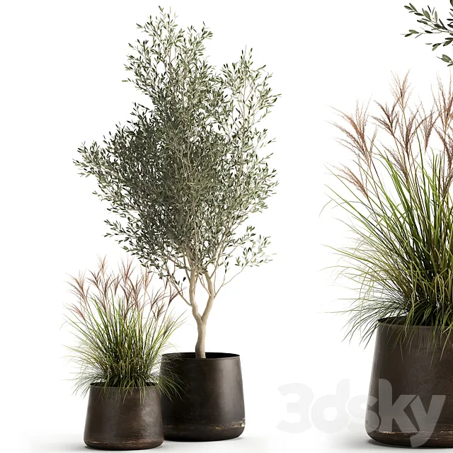 Collection of outdoor metal potted plants with olive tree bushes vine. Set 974. 3D Model