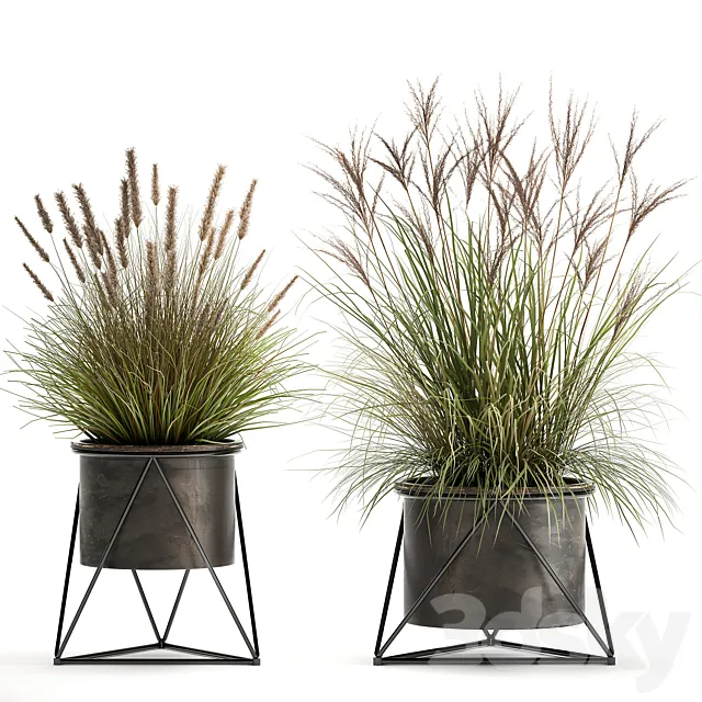 Collection of outdoor metal potted plants with Reeds. grass. bushes. weinik. Set 980. 3DModel
