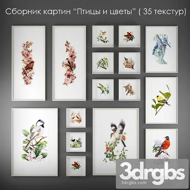 Collection of Paintings Birds and Flowers 3D Model Free