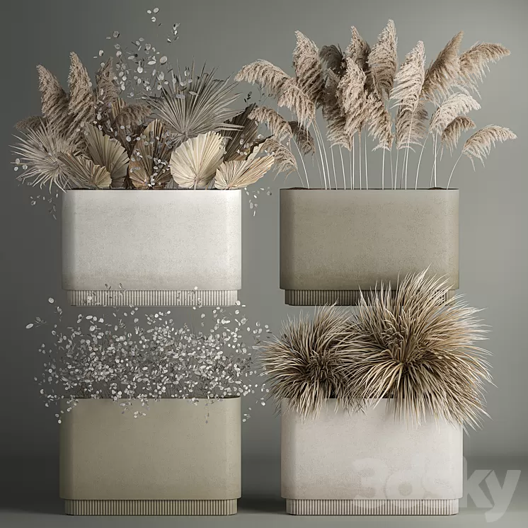 Collection of plant bouquets of dried flowers moonflower dry palm branches dry grass natural decor .1121. 3D Model Free