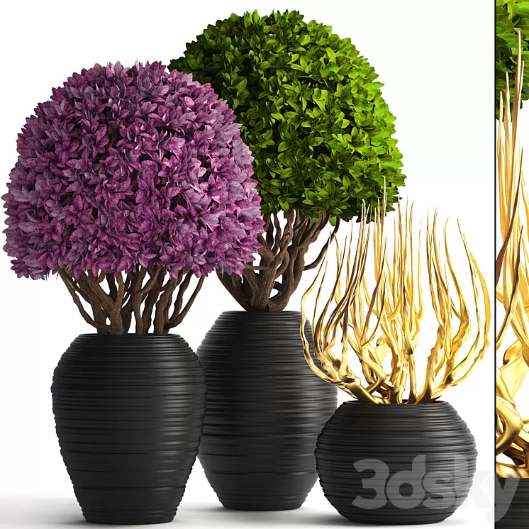 Collection of plants 129. Boxwood topiary topiary decorative vases decor golden branches 3D Model