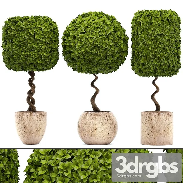 Collection of Plants 130 Garden Trees Landscape Design Flowerpot Pot Boxwood Topiary Topiary 3D Model Free