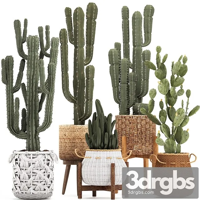 Collection of Plants 330 3D Model Free