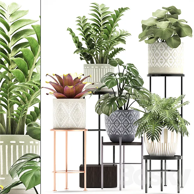 Collection of plants 333. Flower shelf. stand. Zamioculcas. monstera. Bromelia. Philodendron. houseplants. stand. Scandinavian style. flower 3DModel