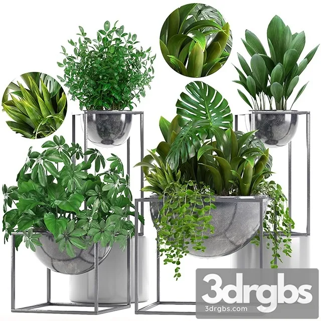 Collection of Plants 3D Model Free