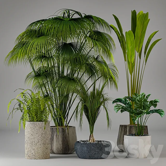 Collection of plants 3D Model