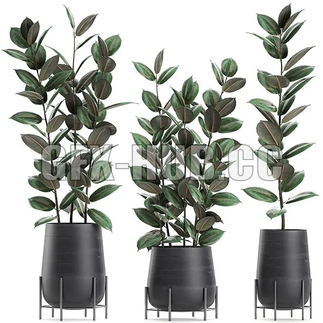 Collection of plants 628 3D Model